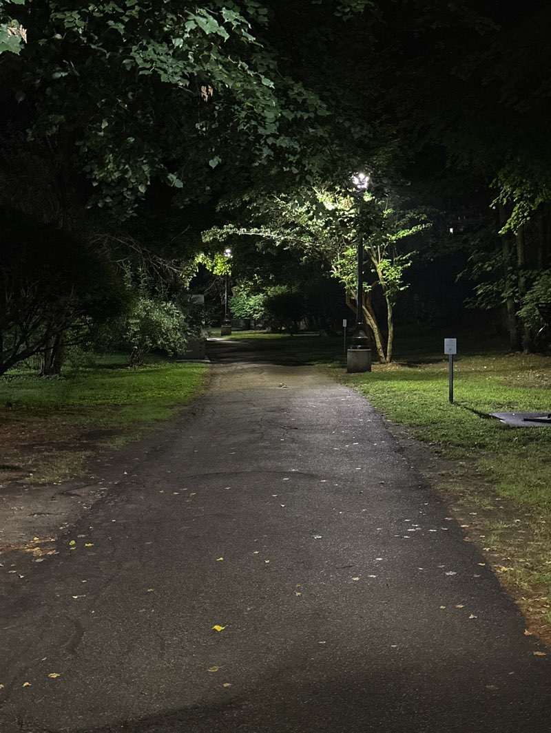 walking near me in Linear Park in summer