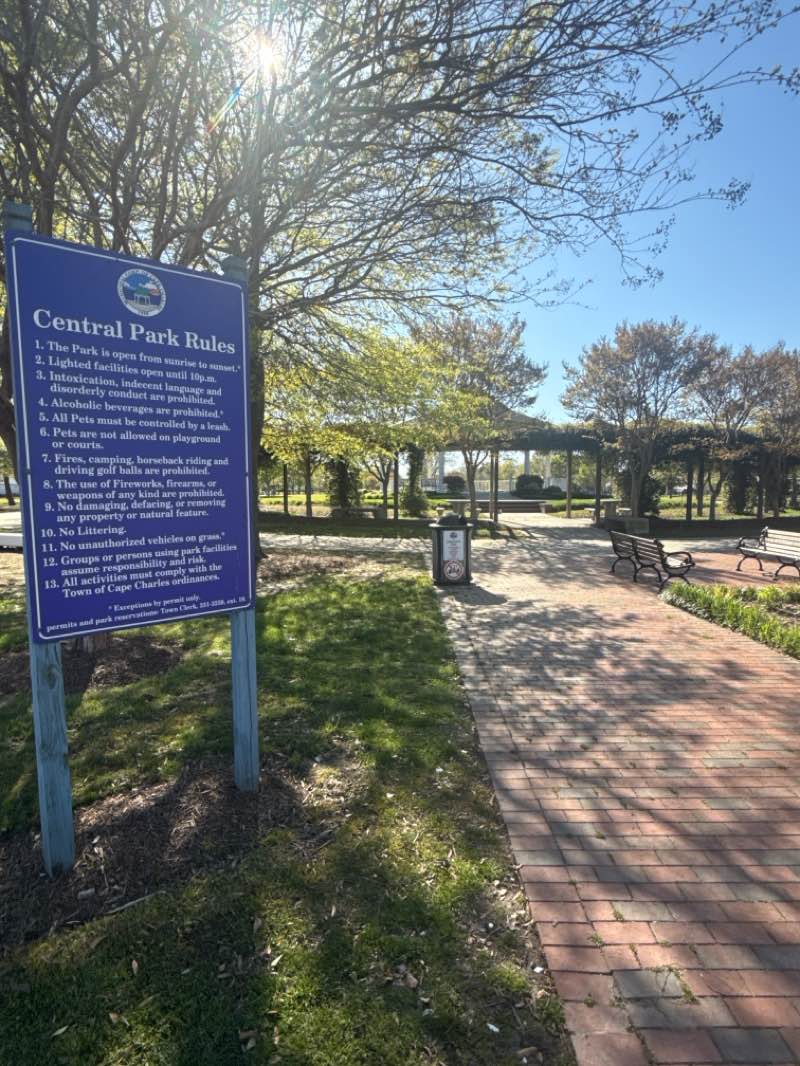 walking near me in Central Park in spring