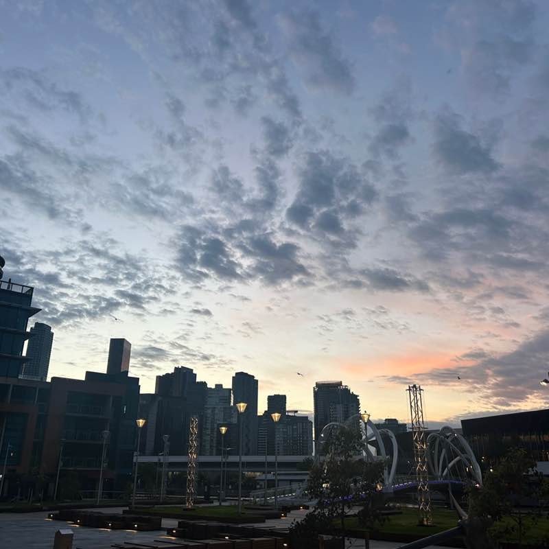 Ian 🐕🇦🇺 post 1