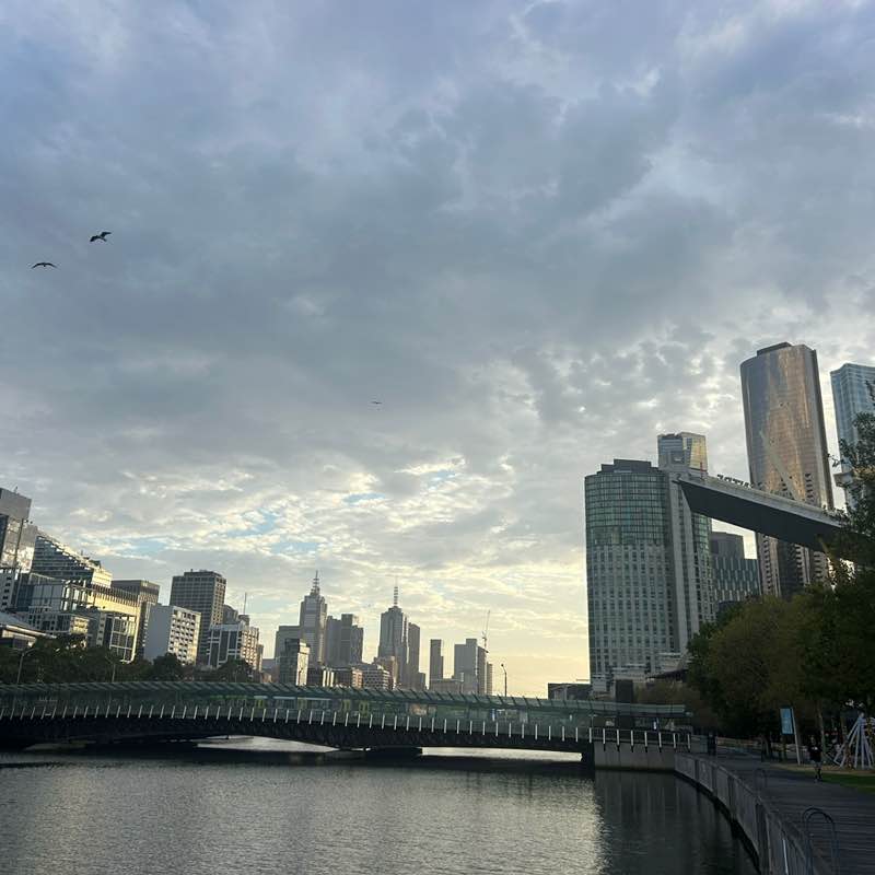 Ian 🐕🇦🇺 post 3