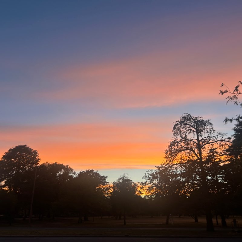 Ian 🐕🇦🇺 post 1