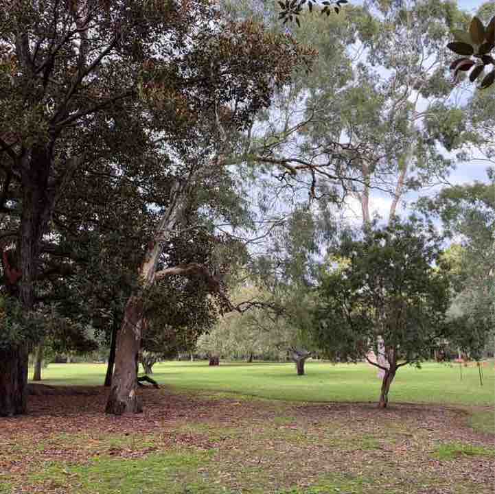 Ian 🐕🇦🇺 post 1