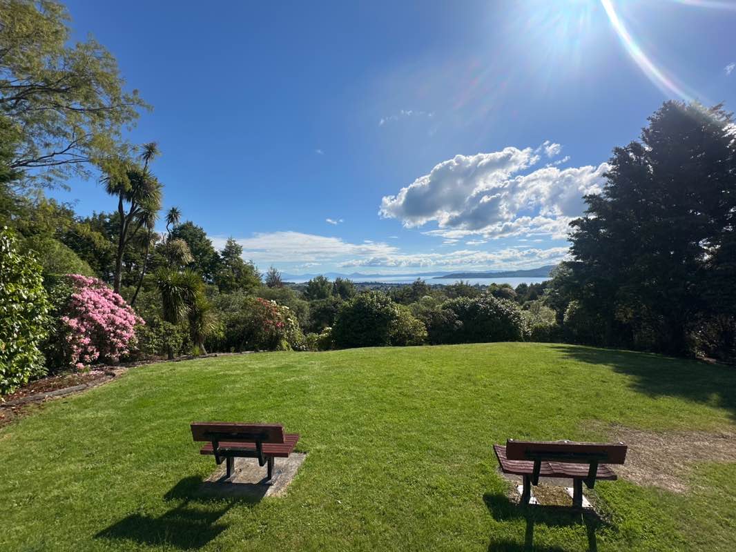 walking near me in Waipahihi Botanical Reserve in spring