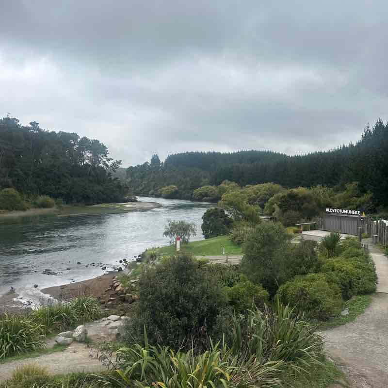 gofishtaupo post 1