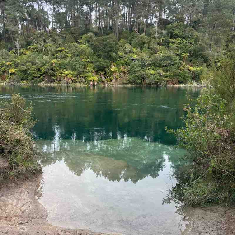gofishtaupo post 1