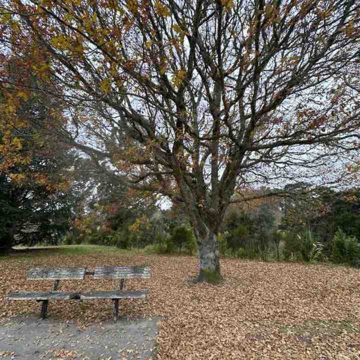 gofishtaupo post 1