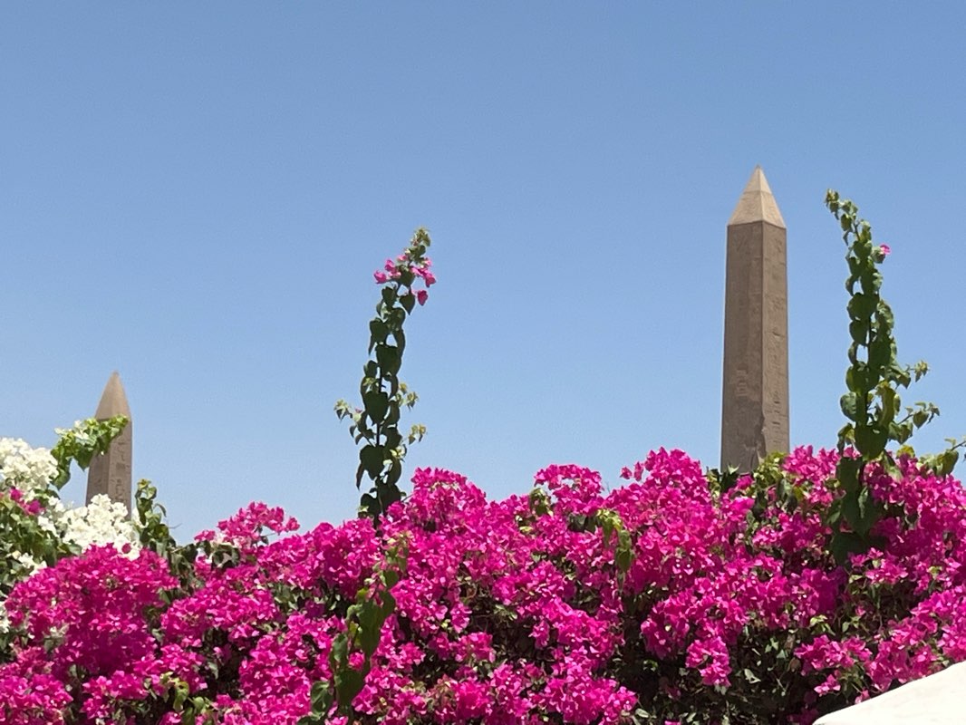 walking near me in Karnak Park in spring