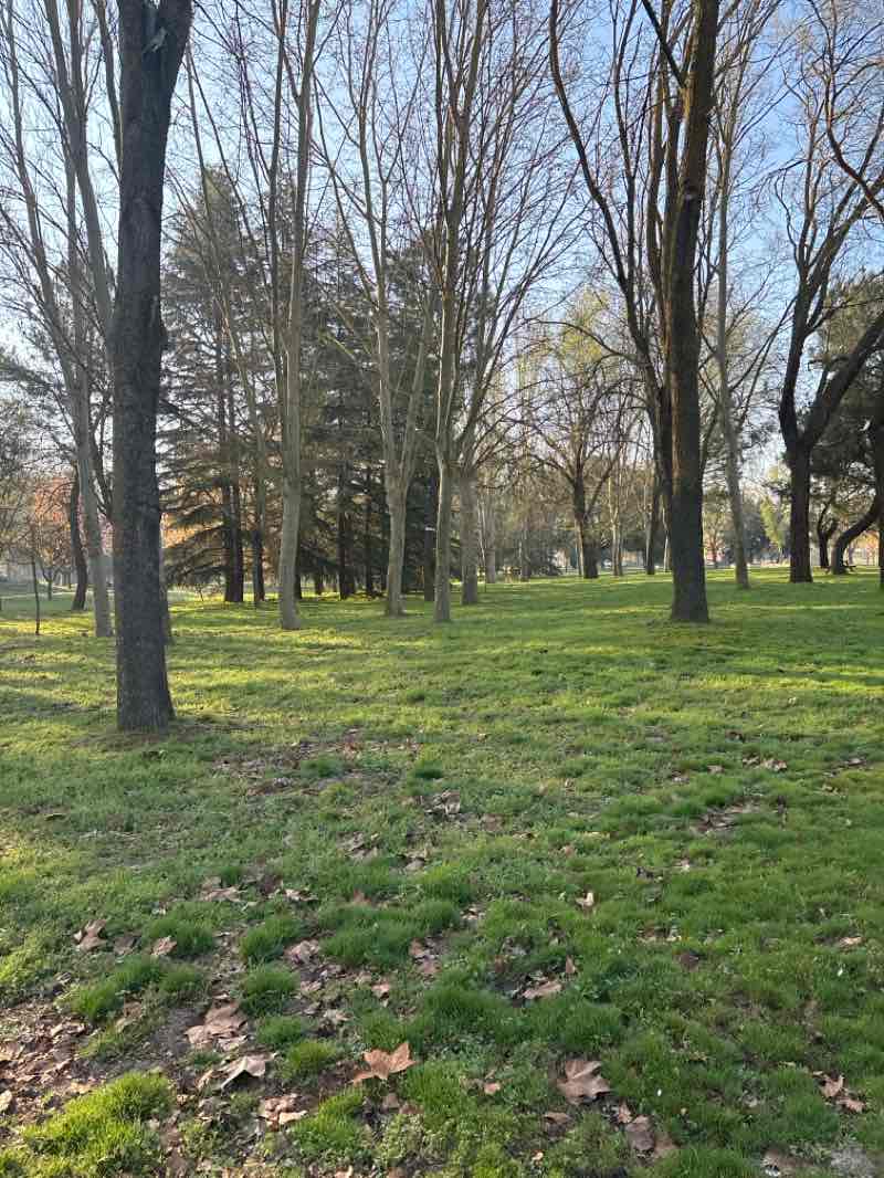 walking near me in Parque de la Aldehuela de los Guzmanes in spring