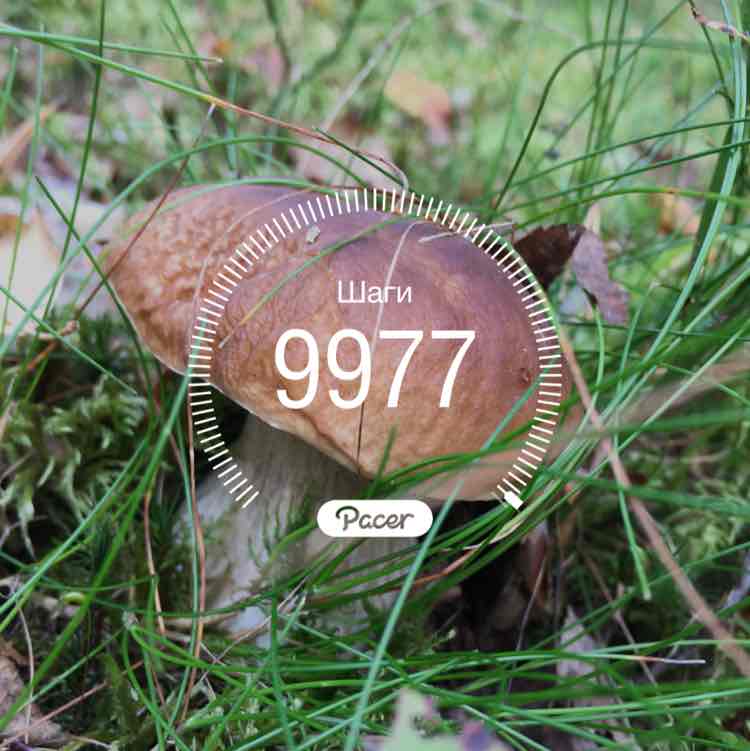 Julia☀️🌷🏃‍♀️ post 1