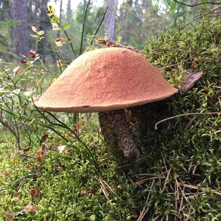 Julia☀️🌷🏃‍♀️ post 3