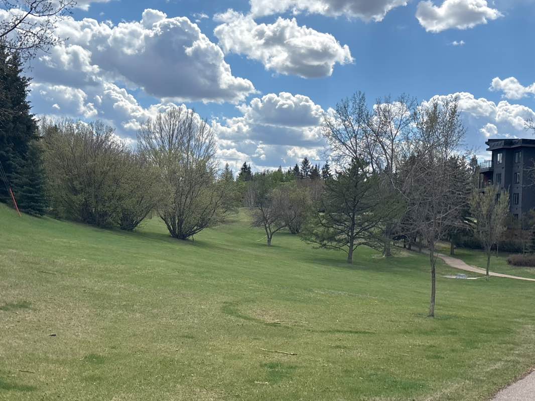 walking near me in Grenadier Park in summer
