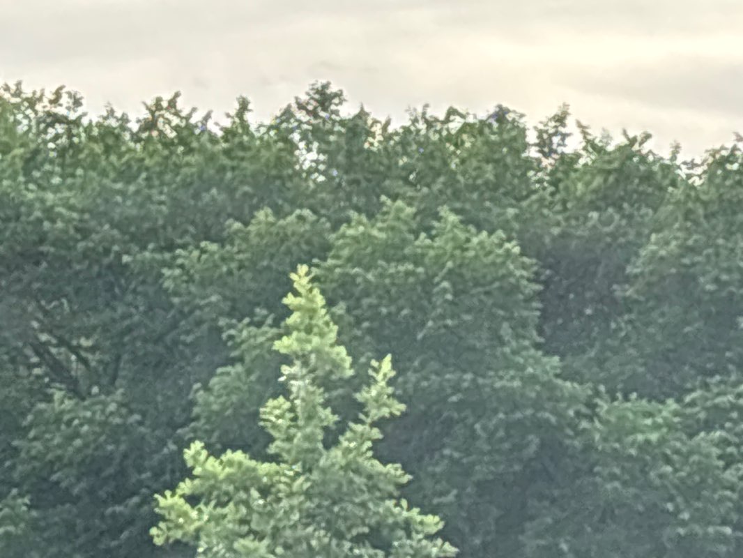walking near me in Kinsmen Park in summer