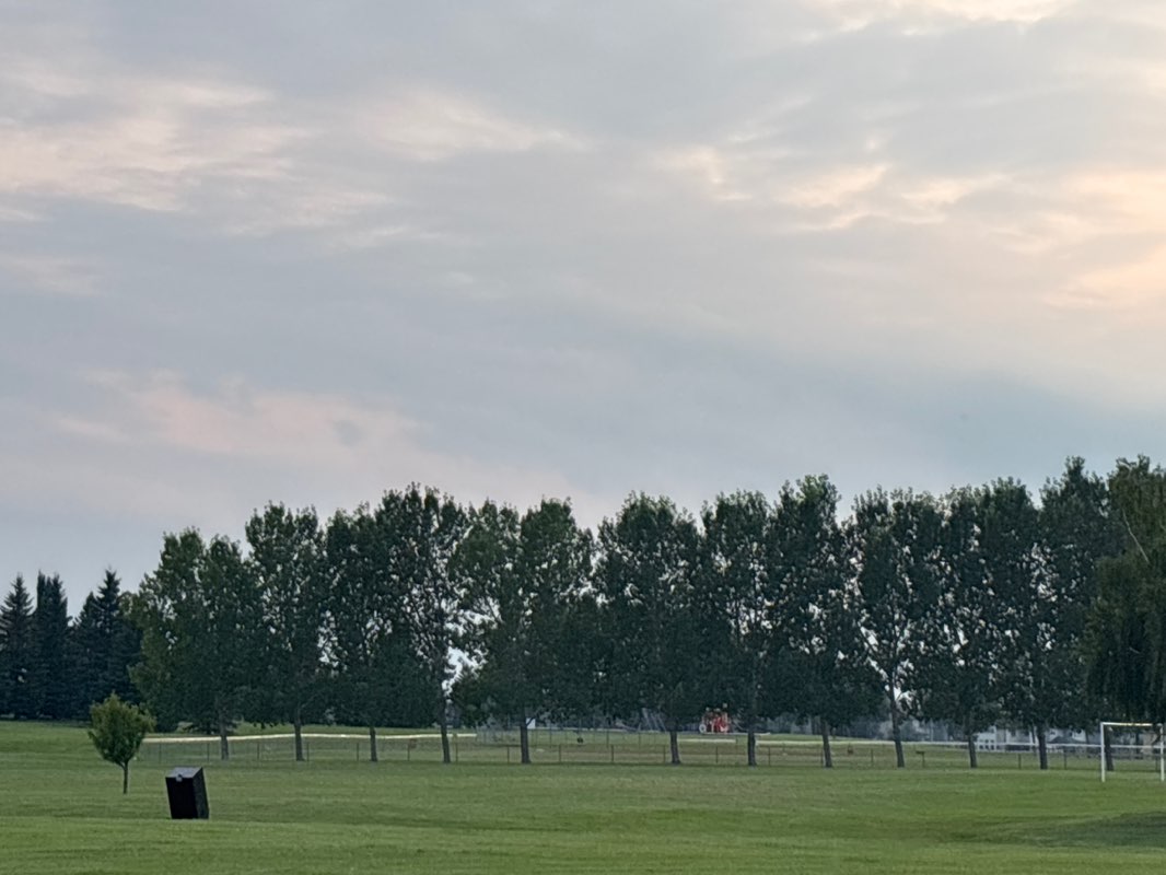 walking near me in Milieu Park in summer
