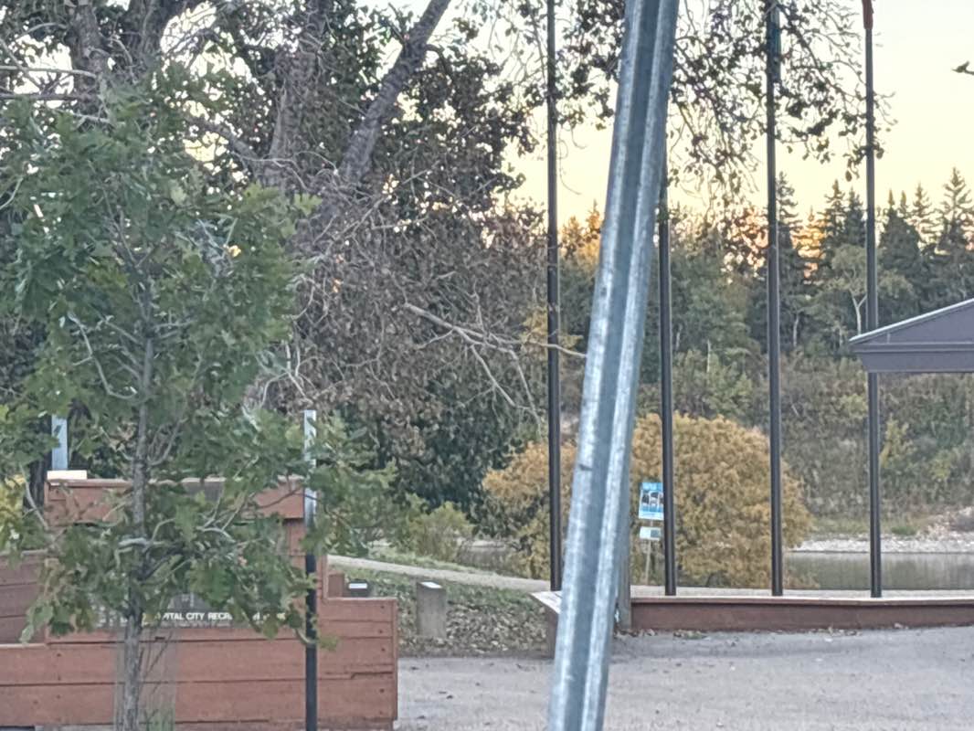 walking near me in Dawson Park in autumn