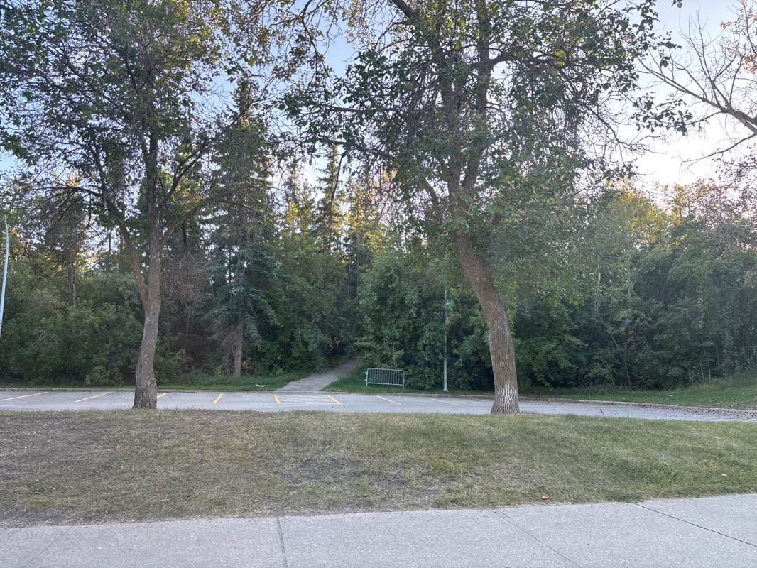 walking near me in Mill Creek Ravine Park in autumn