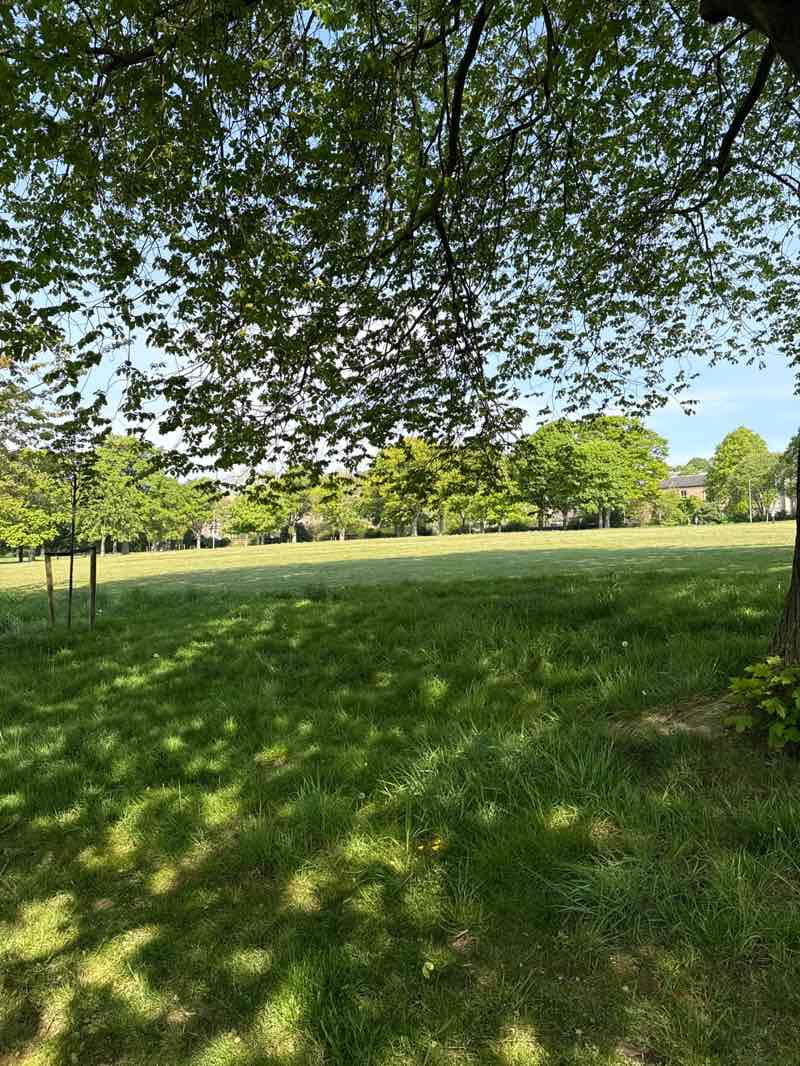 walking near me in Dudhope Park in spring