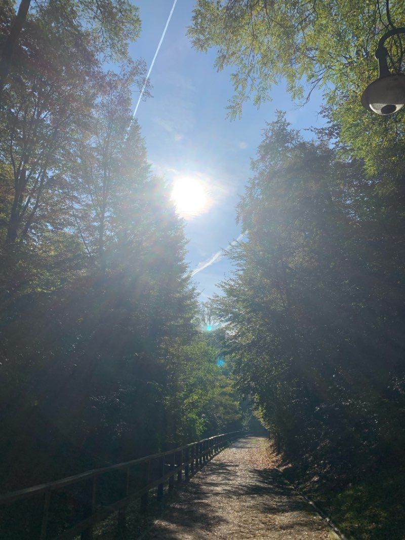 walking near me in Park Brezje in autumn