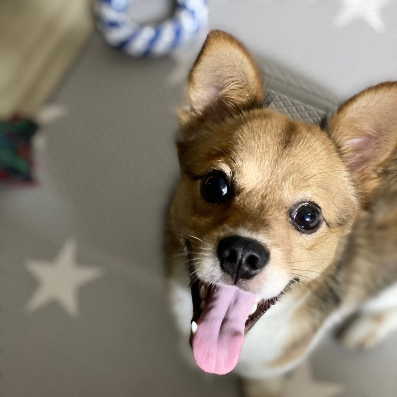 박미선(1997031) profile