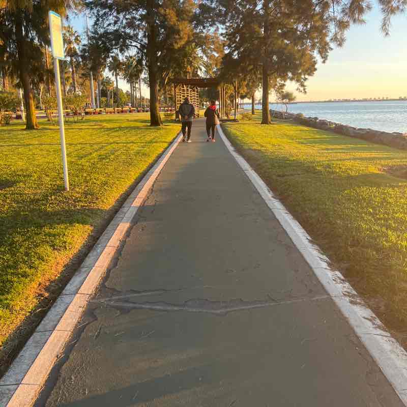 Amigos de Dana Concha post image