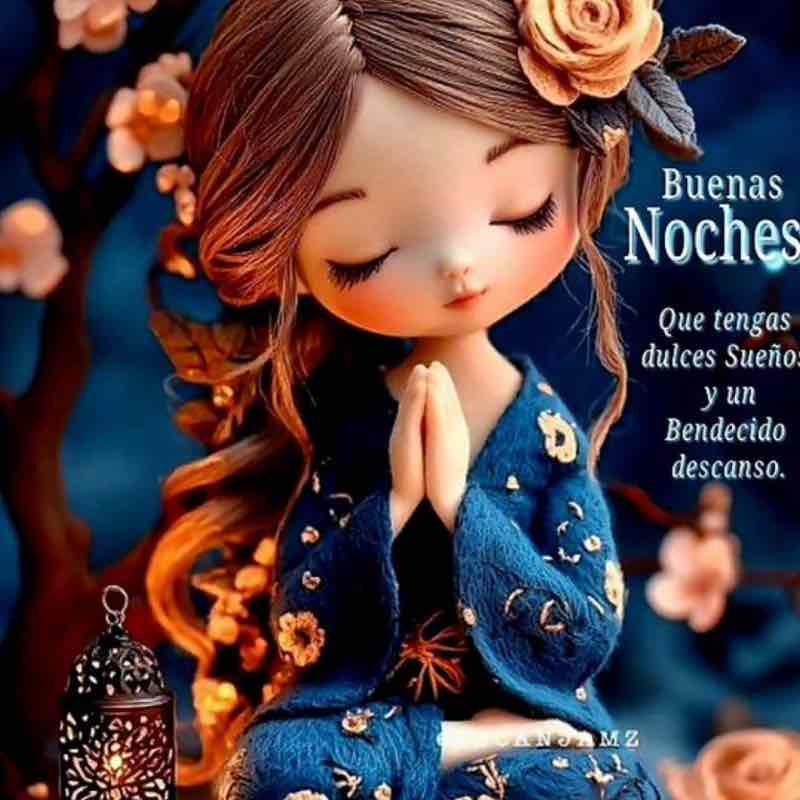 Amigos de Dana Concha post image