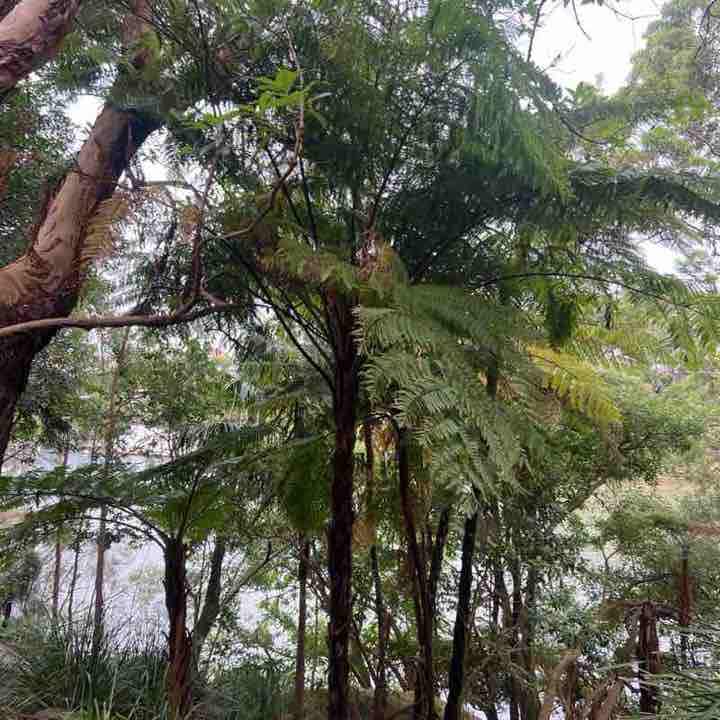 passthesuncream post 2