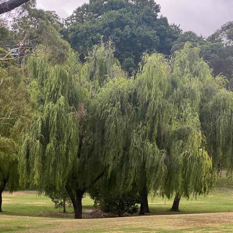 passthesuncream post 1