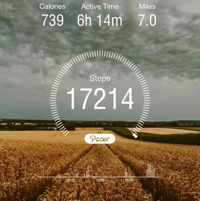 erikacrocker89 post 1