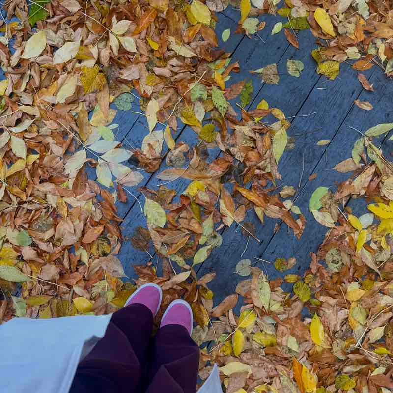 Шаги здоровья 🩵 Катерина 💐🇷🇺 post image