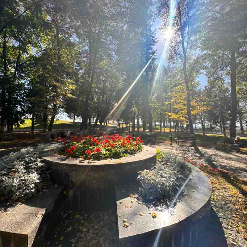 Шаги здоровья 🩵 Катерина 💐🇷🇺 post image