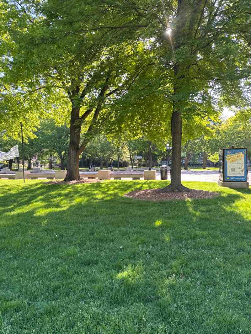 walking near me in The Diag in summer