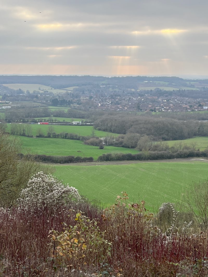 walking near me in Gravelly Hill Common in winter