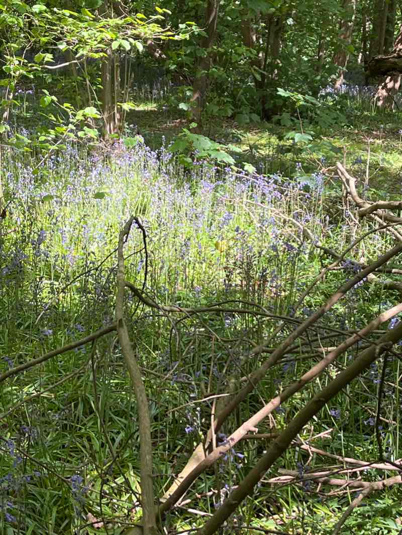 walking near me in Happy Valley in winter