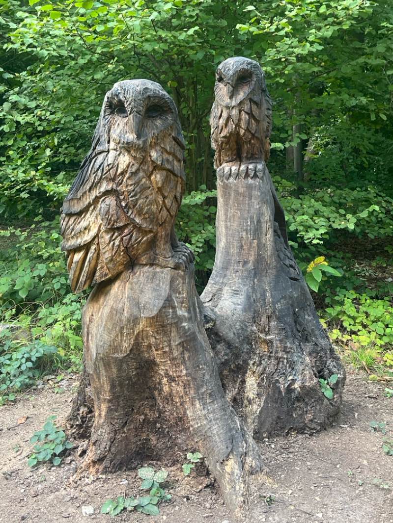 walking near me in Hamsey Green Recreation Ground in autumn