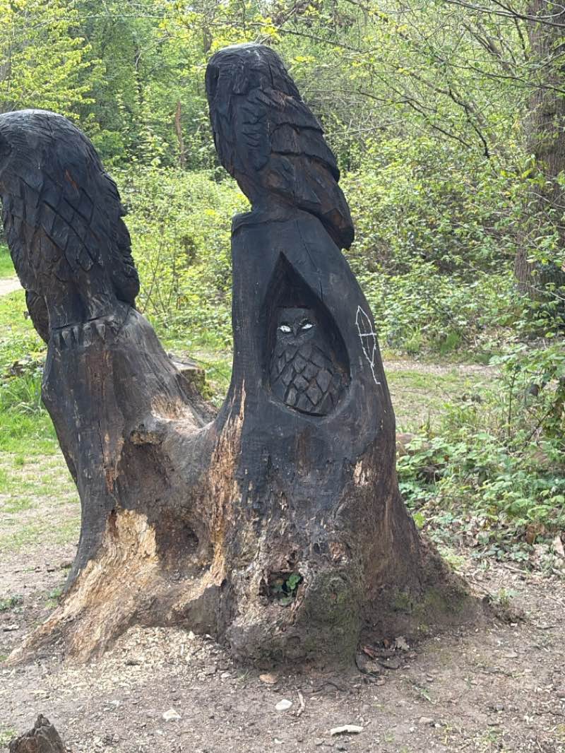 walking near me in Hamsey Green Recreation Ground in spring
