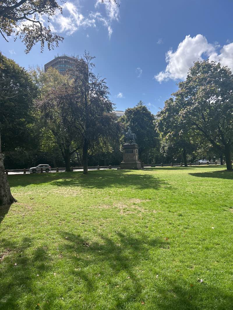walking near me in Gorsedd Gardens in autumn