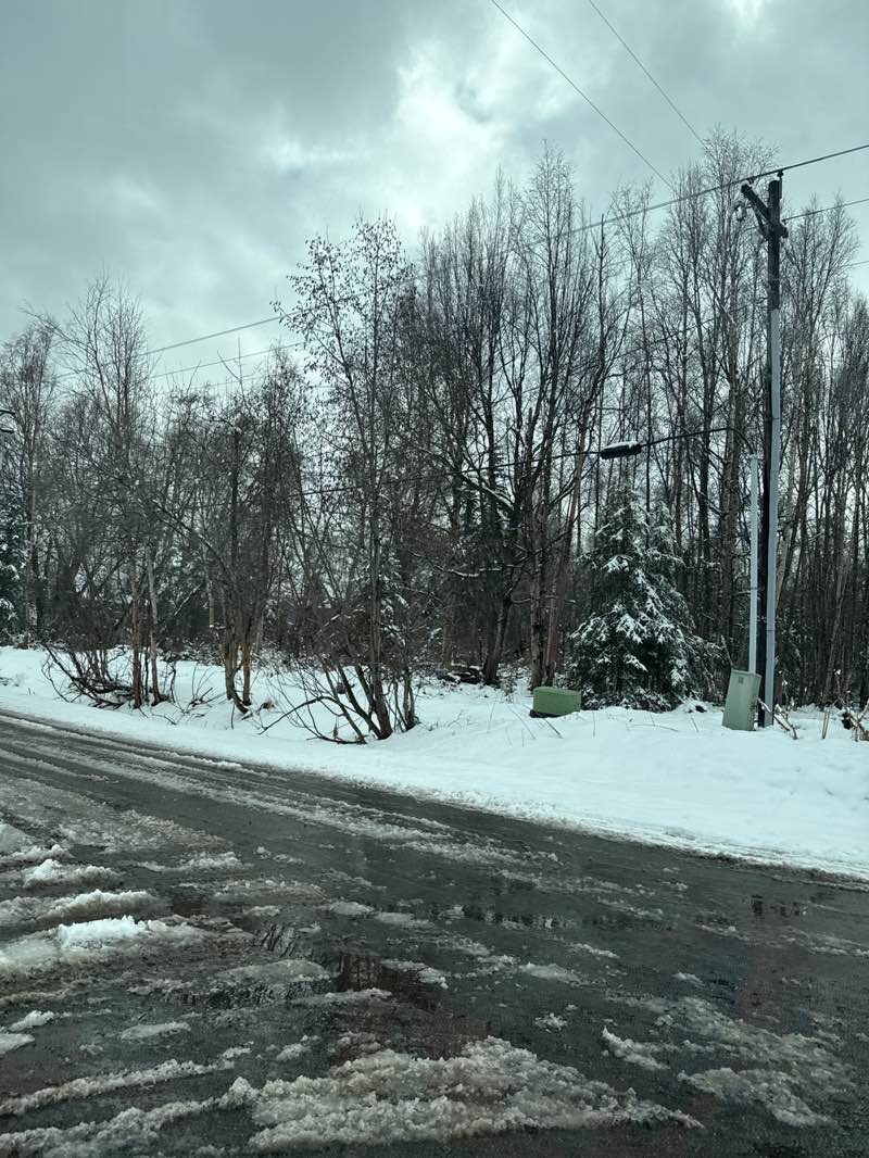 walking near me in Spruce Park in spring