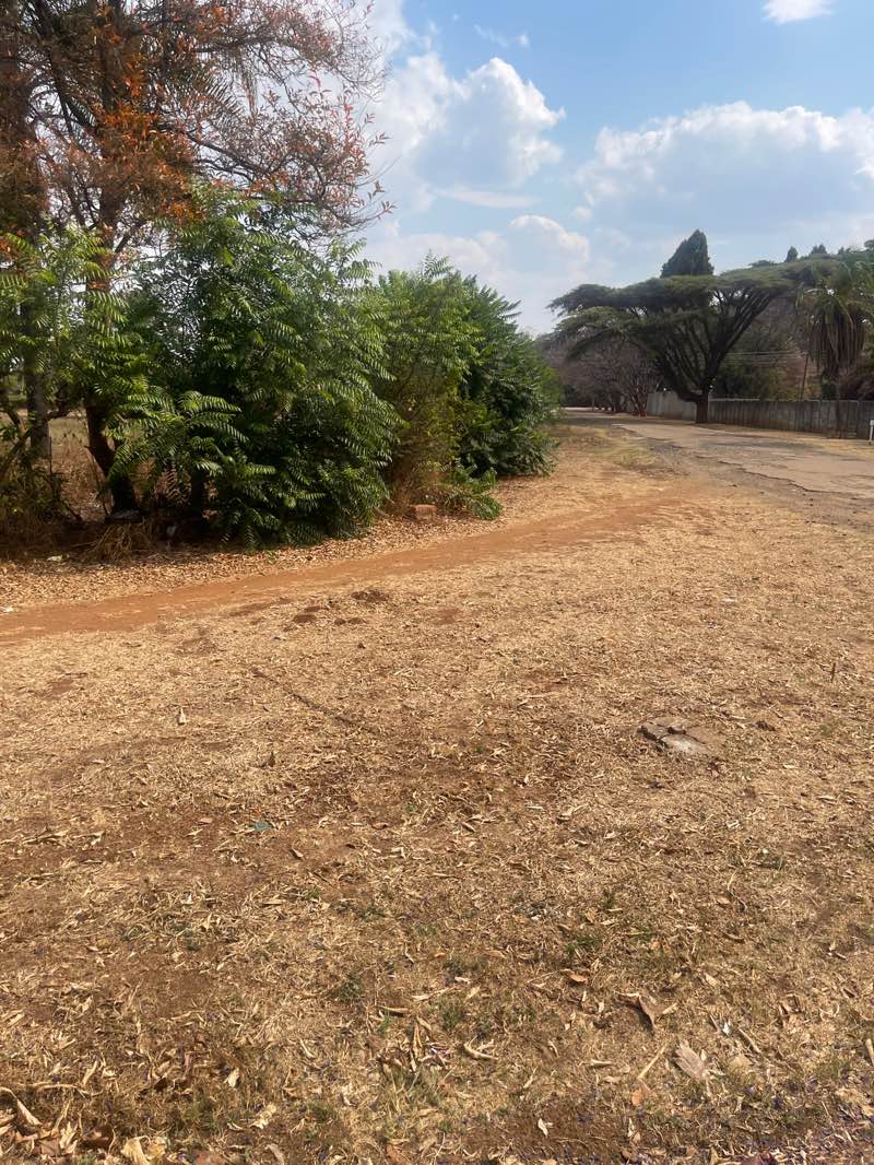 walking near me in Toremore Park in spring