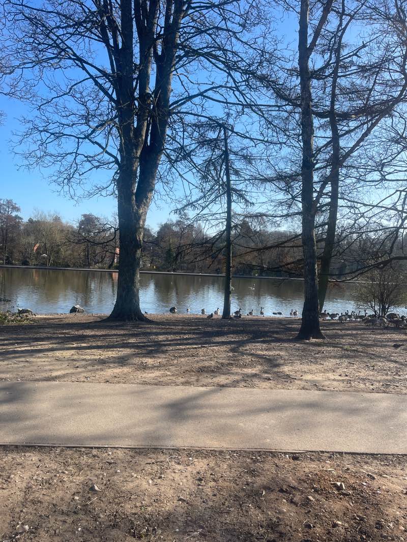 walking near me in Trittiford Park in spring