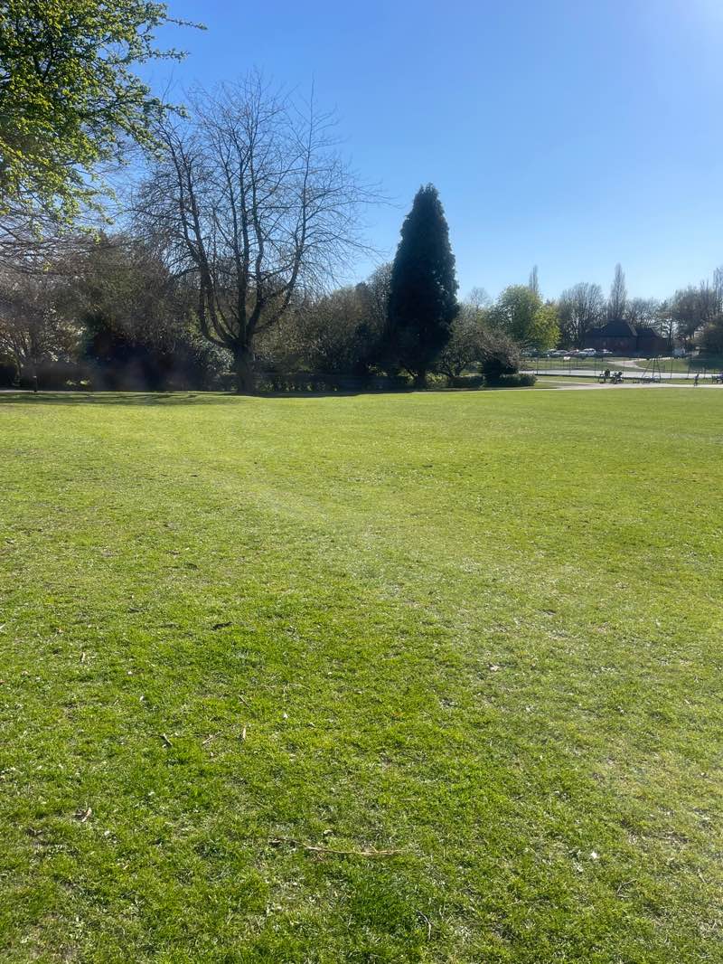 walking near me in Silver Jubilee Park in spring