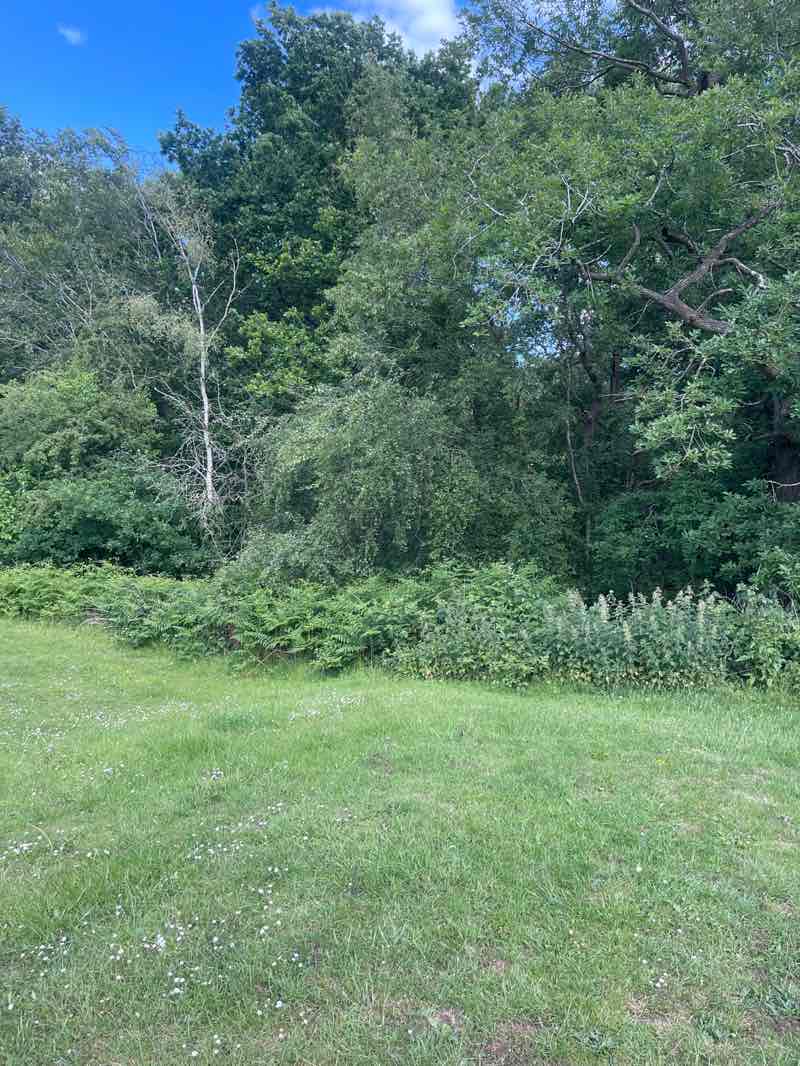 walking near me in Elmdon Coppice Recreation Ground in summer