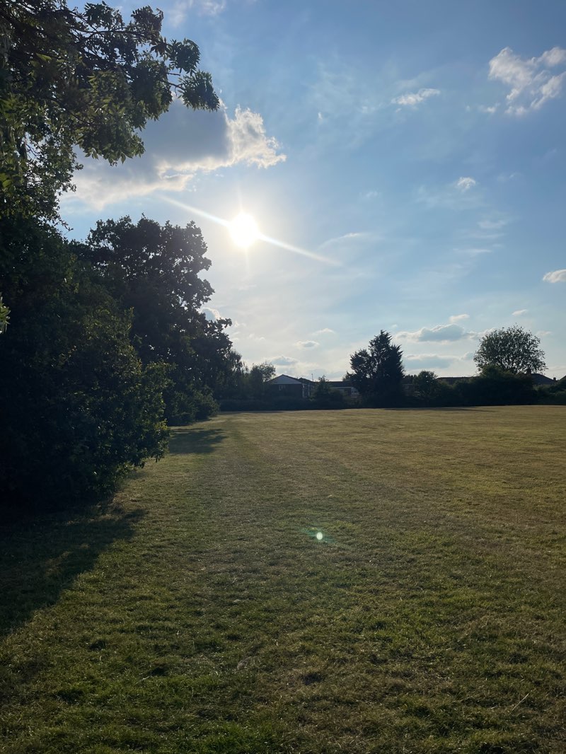 walking near me in Daisy Farm Park in summer