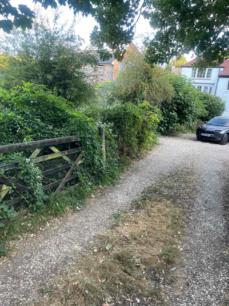 walking near me in Kingsclere Recreation Ground in summer