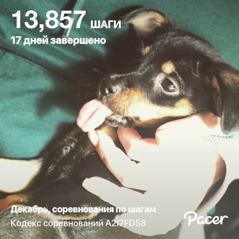 Марья 🇷🇺 post 1