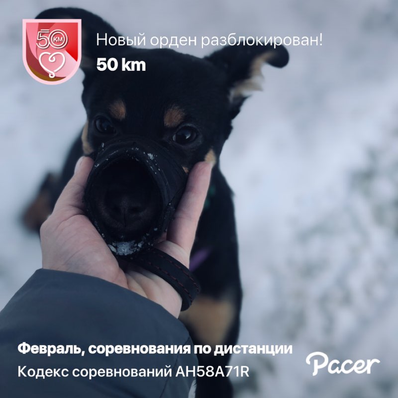 Марья 🇷🇺 post 1