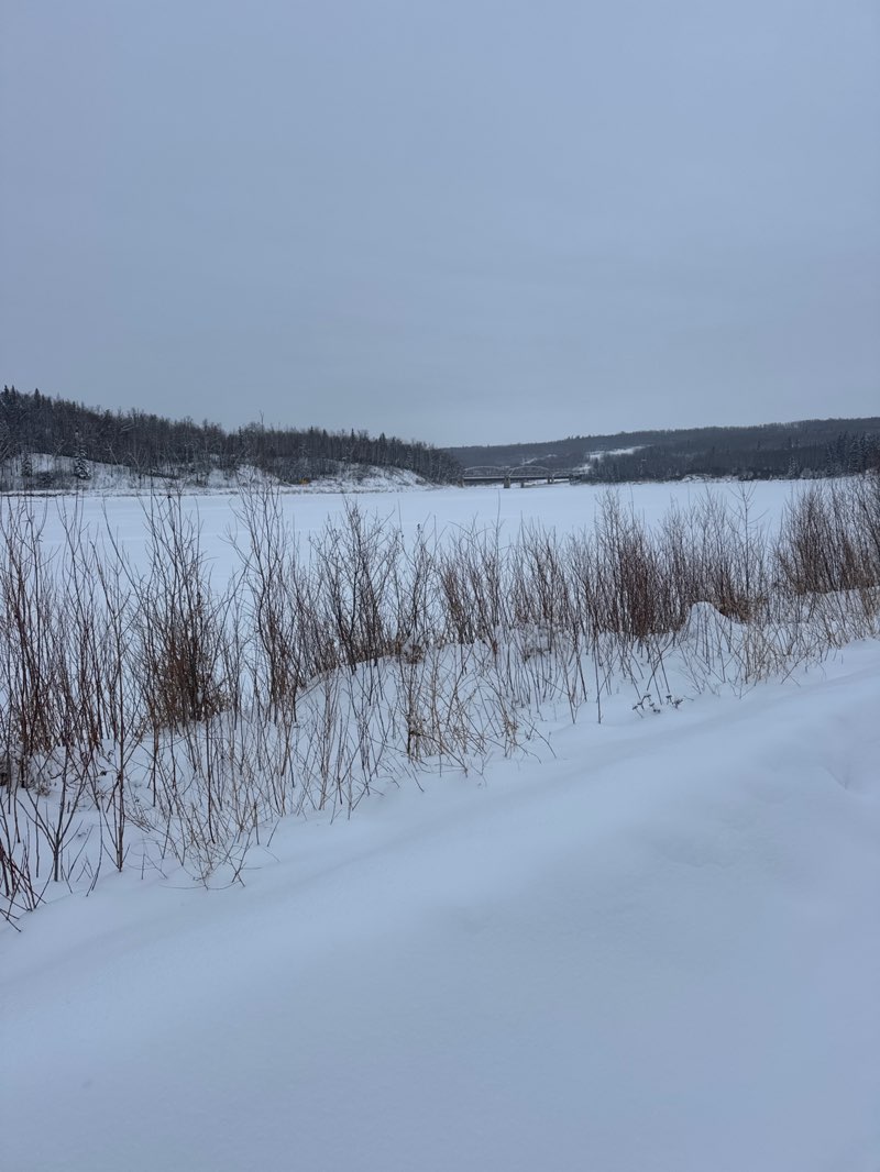 walking near me in Athabasca River Front Park in winter