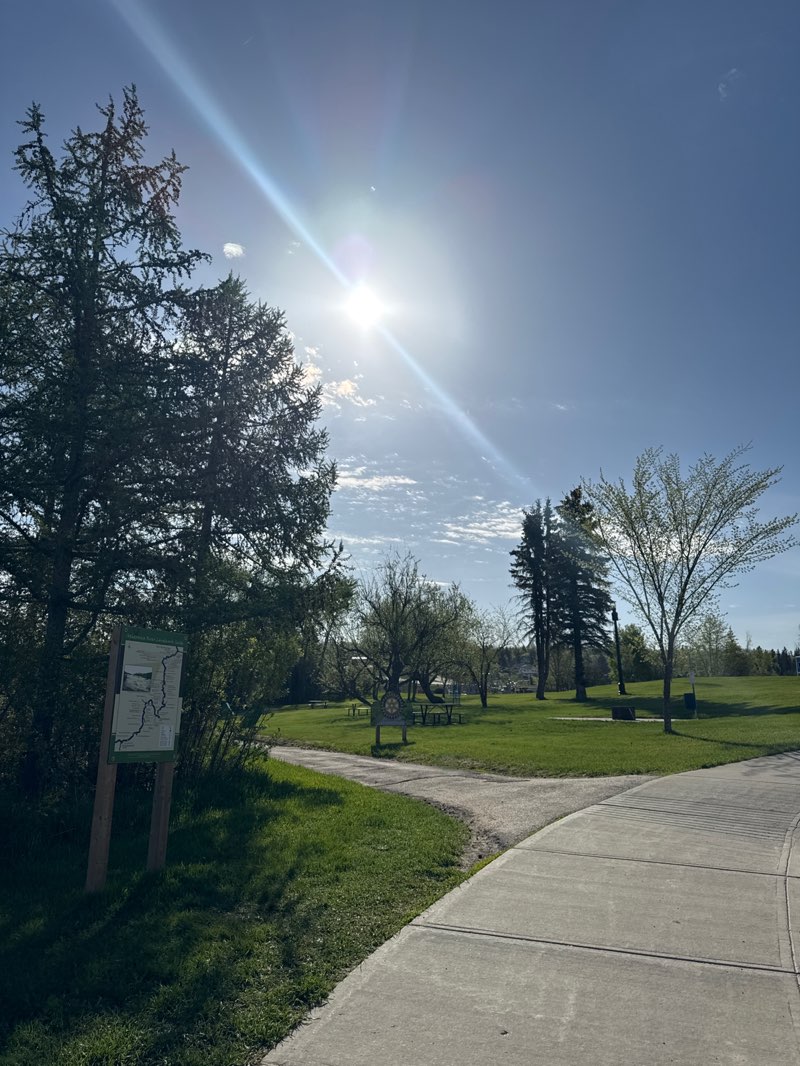 walking near me in Athabasca River Front Park in summer