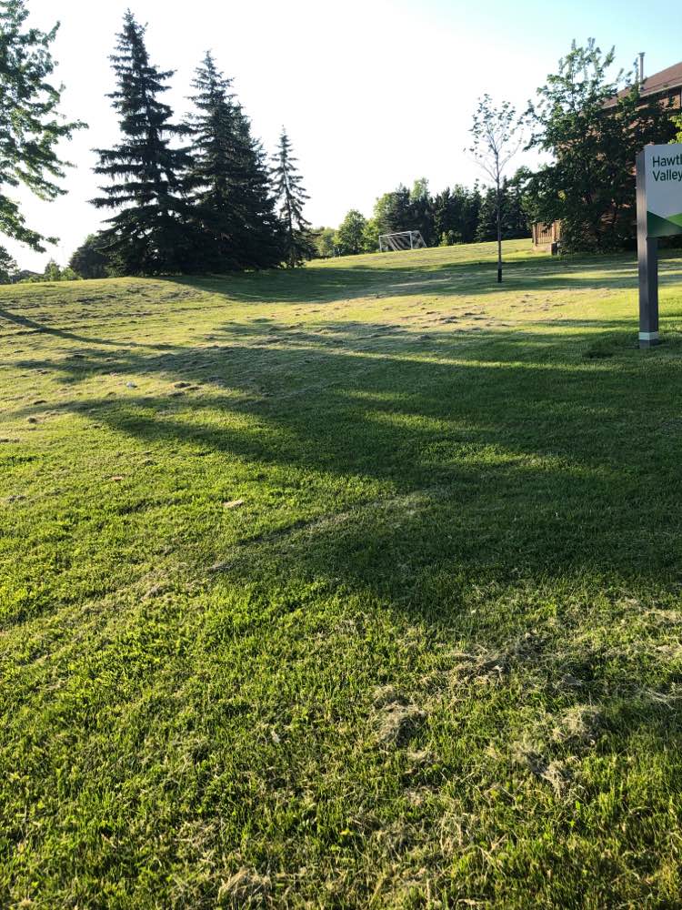 walking near me in Hawthorne Valley Park in summer