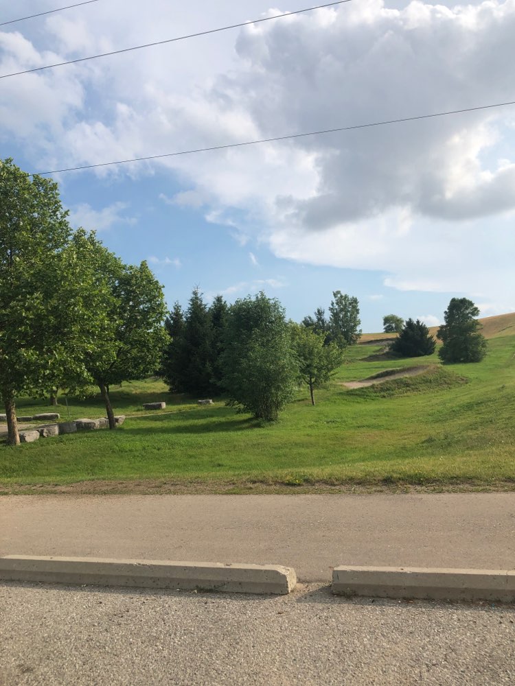 walking near me in McLennan Park in summer