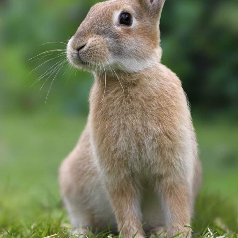 💍Круэлла❄️ post 2