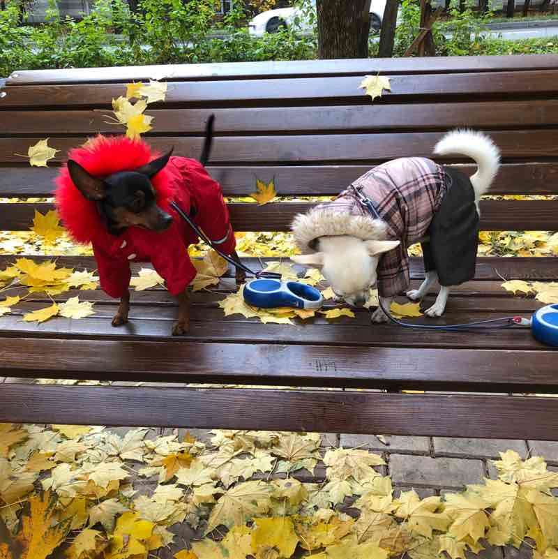 💍Круэлла❄️ post 3